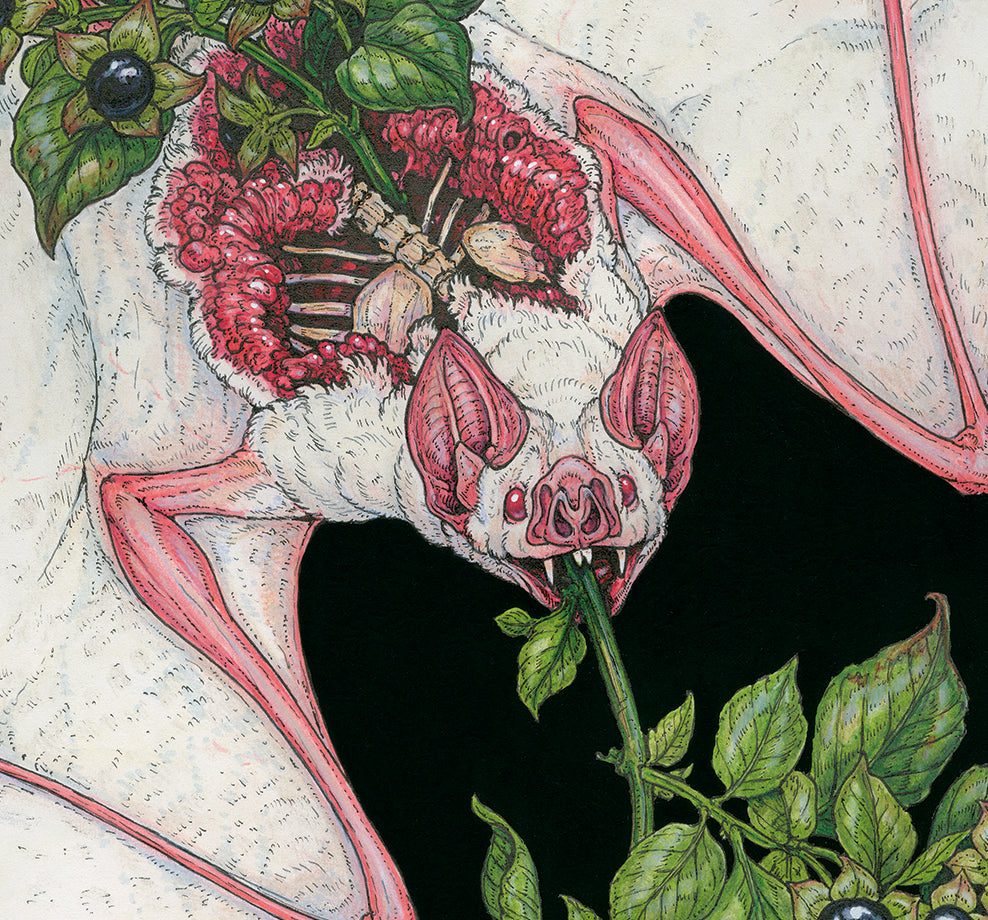 Belladonna Original Watercolor