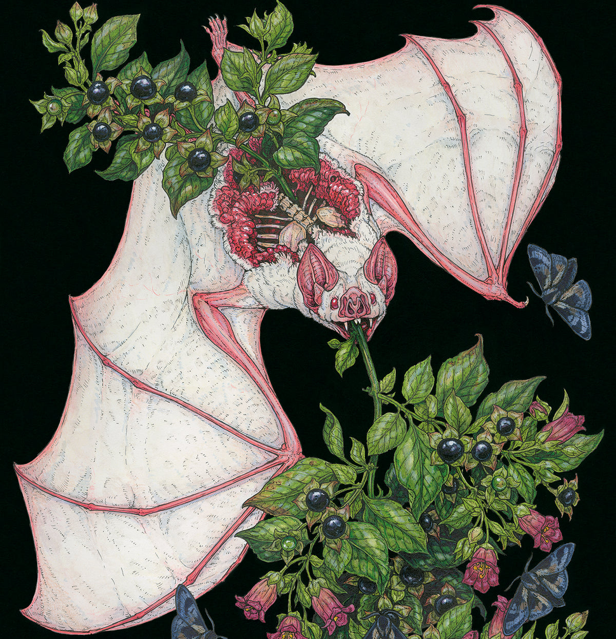 Belladonna Original Watercolor
