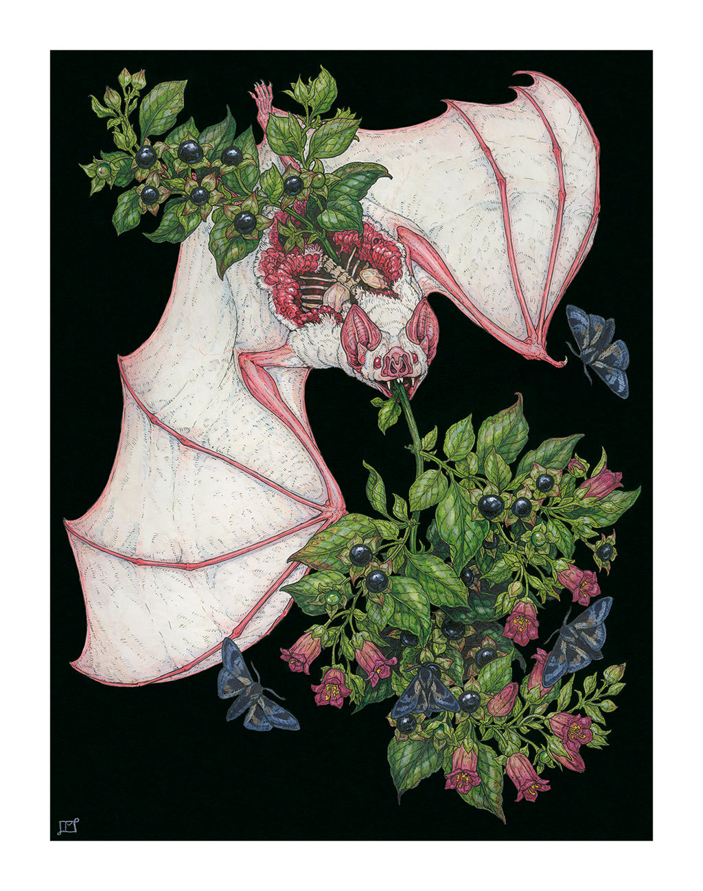 Belladonna Limited Edition Print