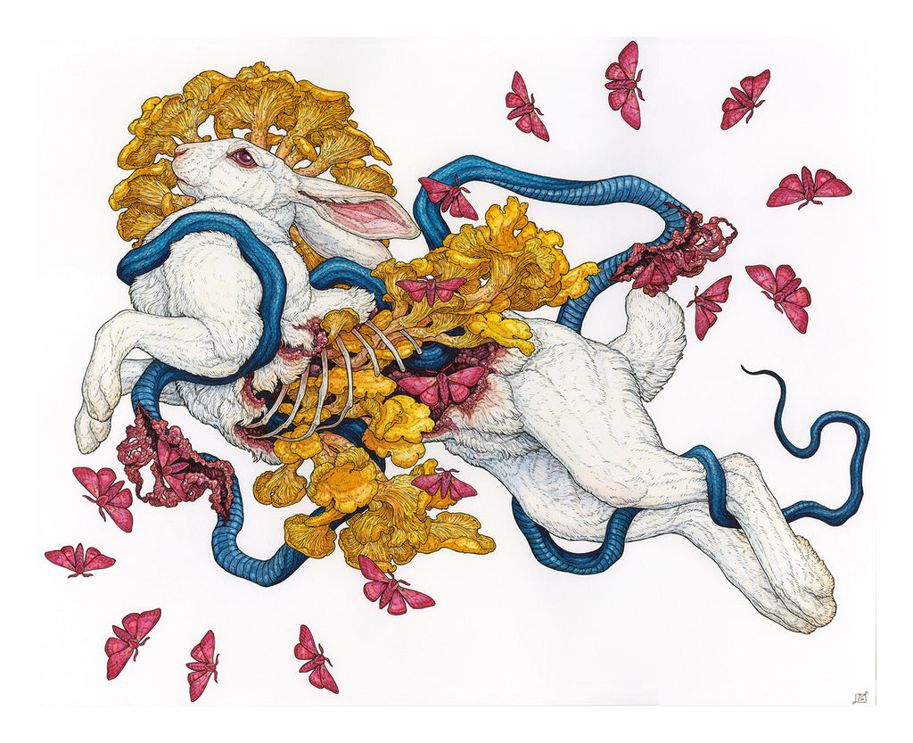 Contemplation of Lepus II