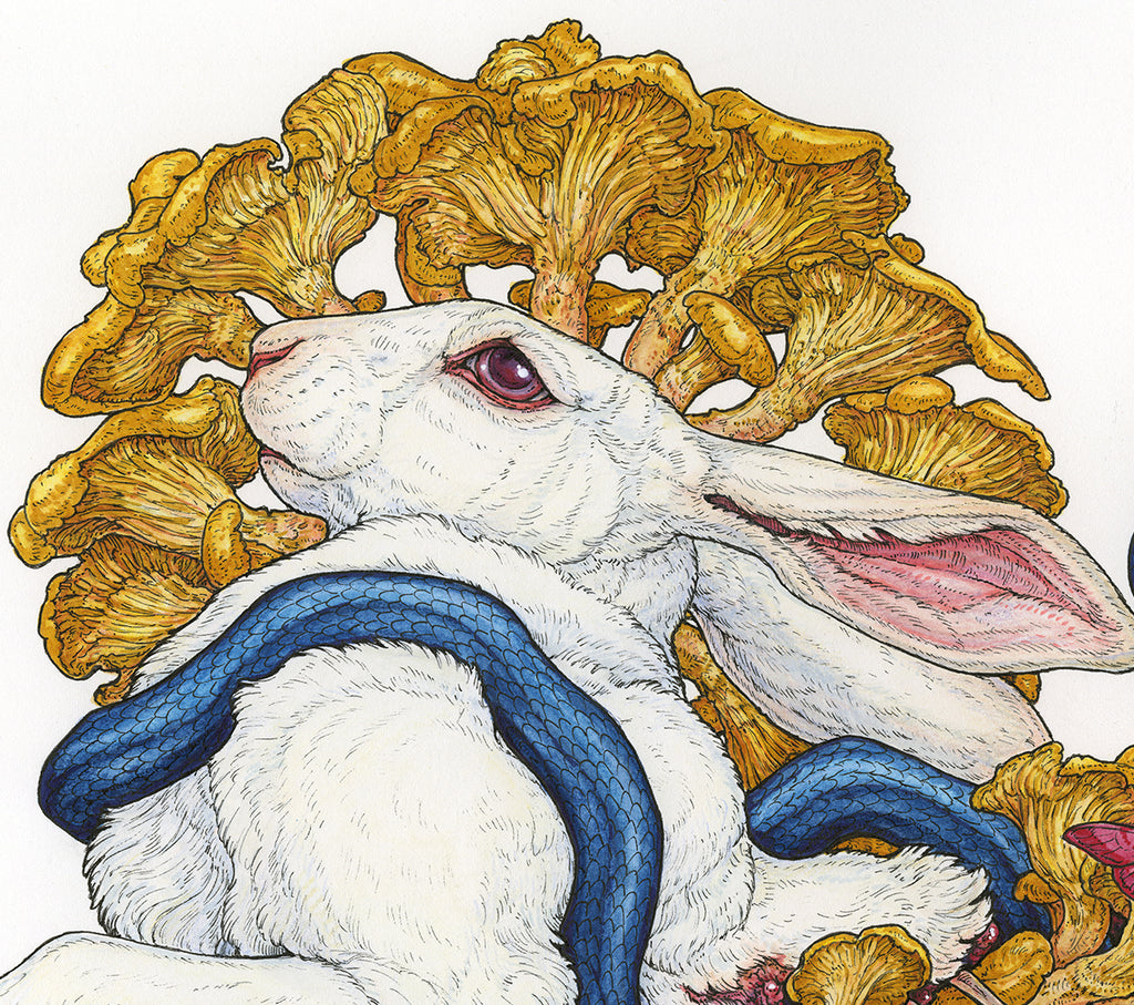 Contemplation of Lepus II
