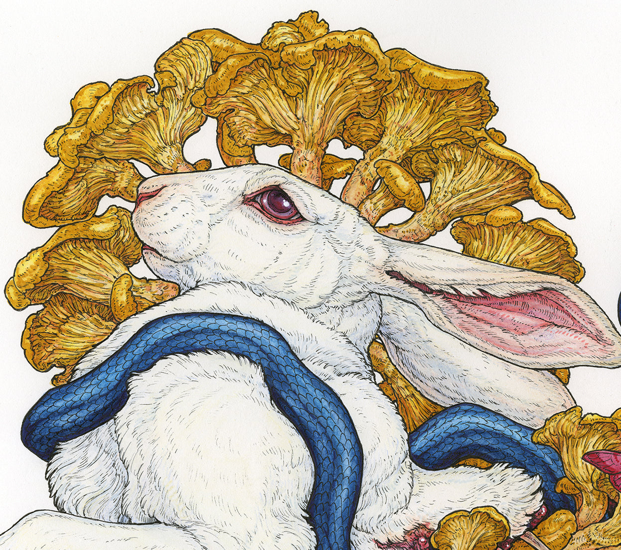 Contemplation of Lepus II