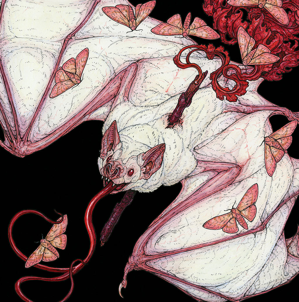 Emberlight Limited Edition Print