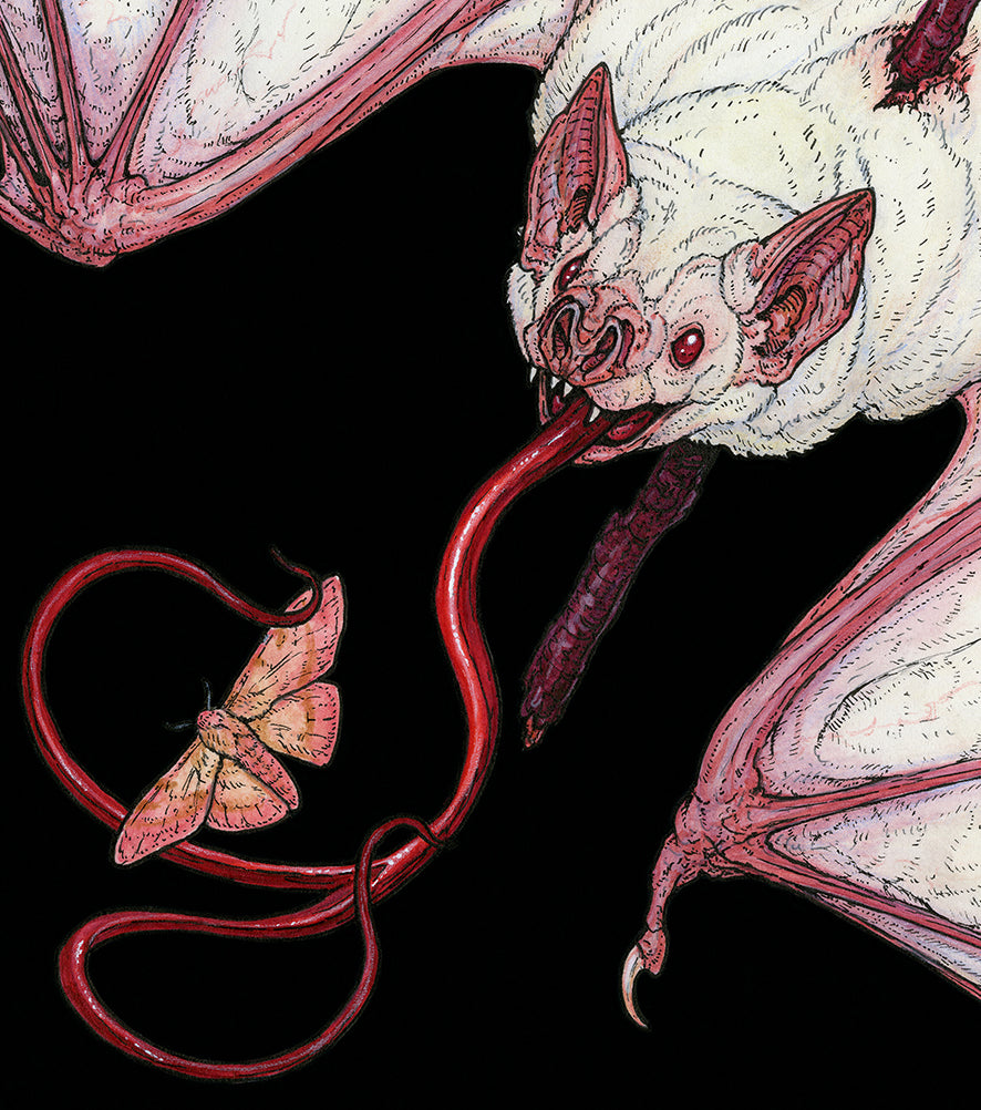 Emberlight Limited Edition Print