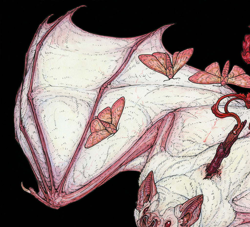 Emberlight Limited Edition Print