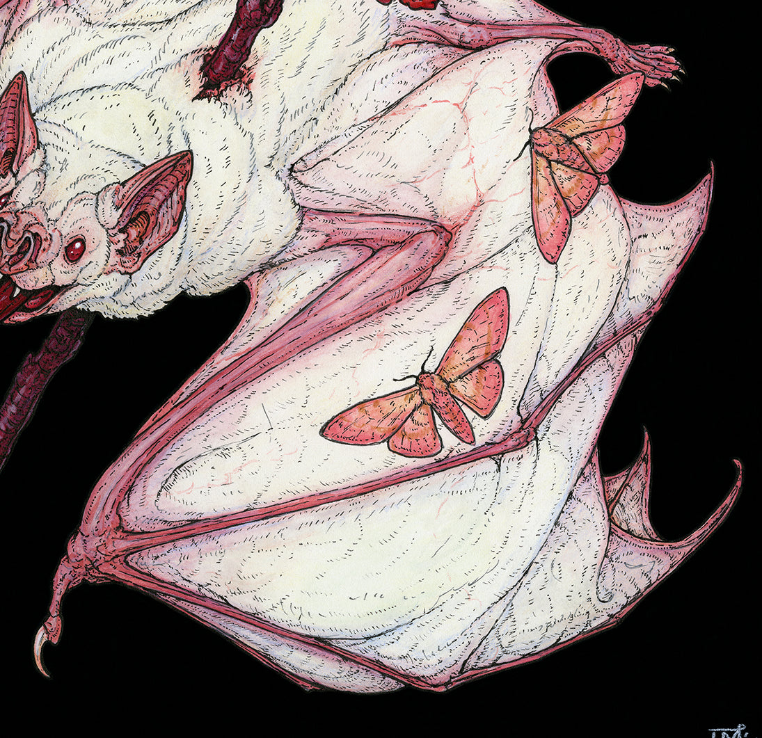 Emberlight Limited Edition Print