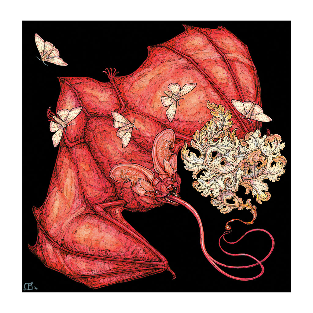 Enkindle Limited Edition Print