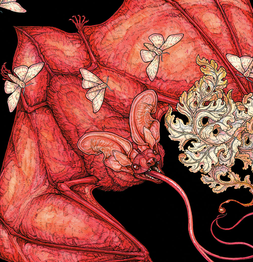 Enkindle Limited Edition Print