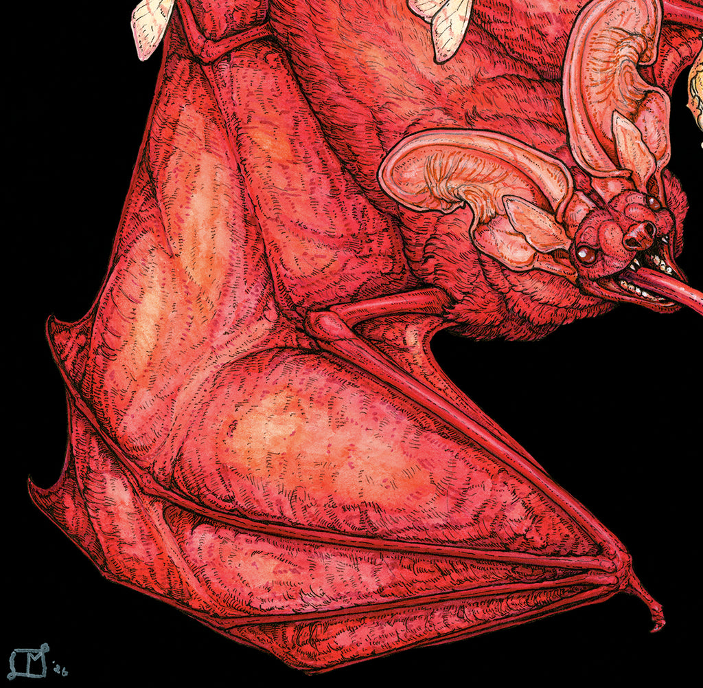 Enkindle Original Watercolor