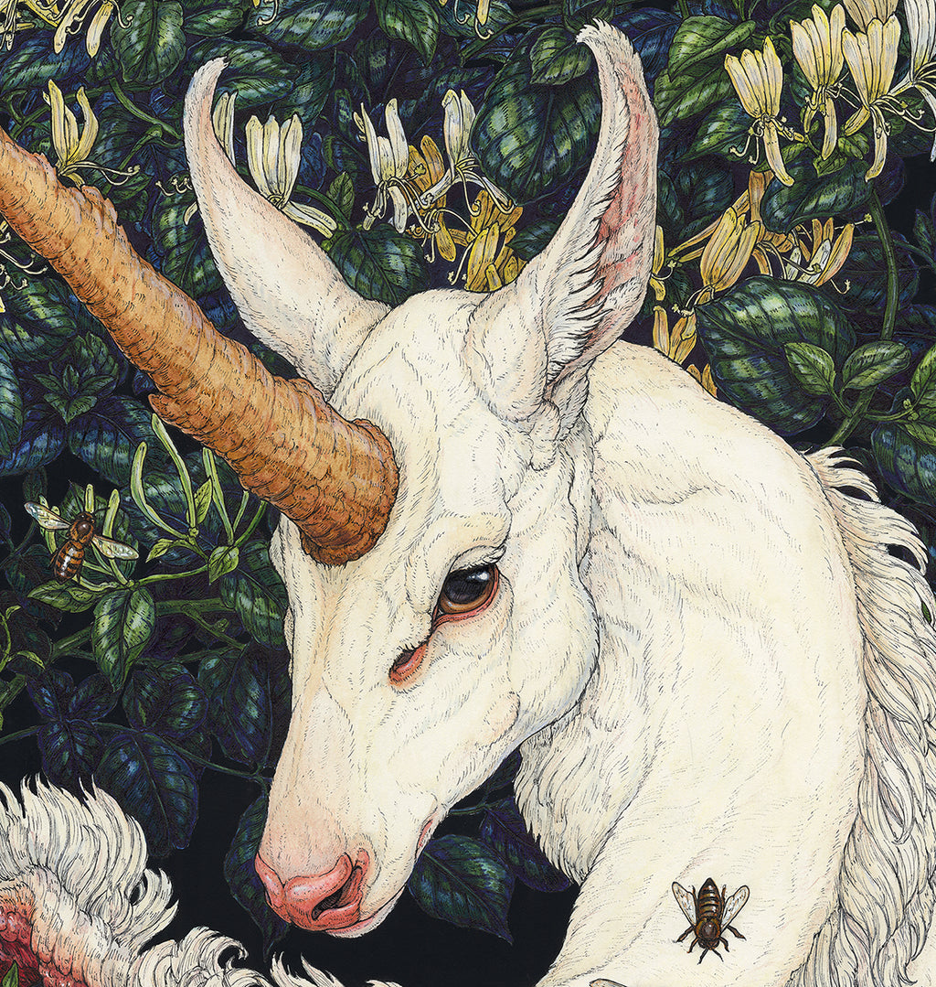 Honeysuckle Guardian Limited Edition Print