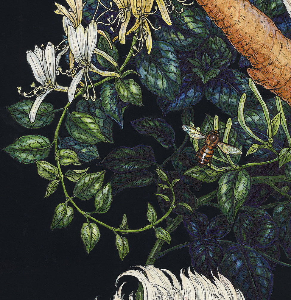 Honeysuckle Guardian Limited Edition Print
