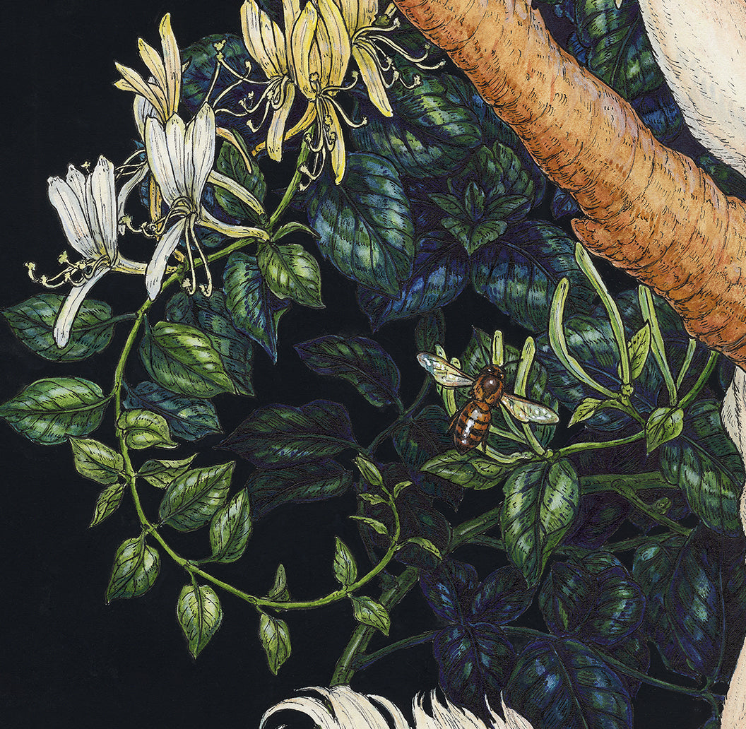 Honeysuckle Guardian Original Watercolor