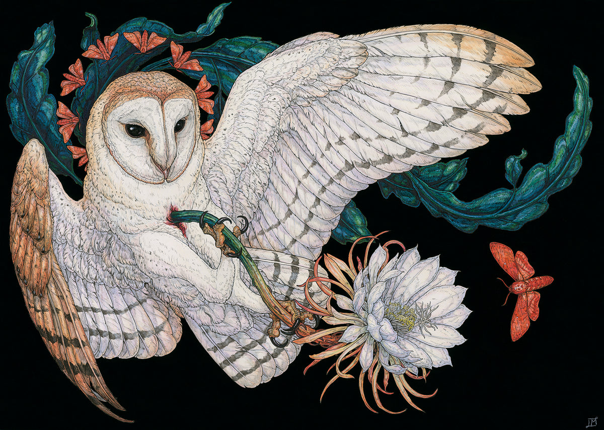 Midnight Sacrifice Limited Edition Print
