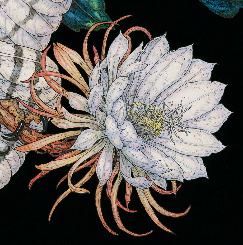 Midnight Sacrifice Limited Edition Print