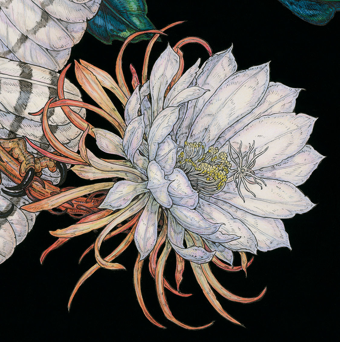 Midnight Sacrifice Limited Edition Print