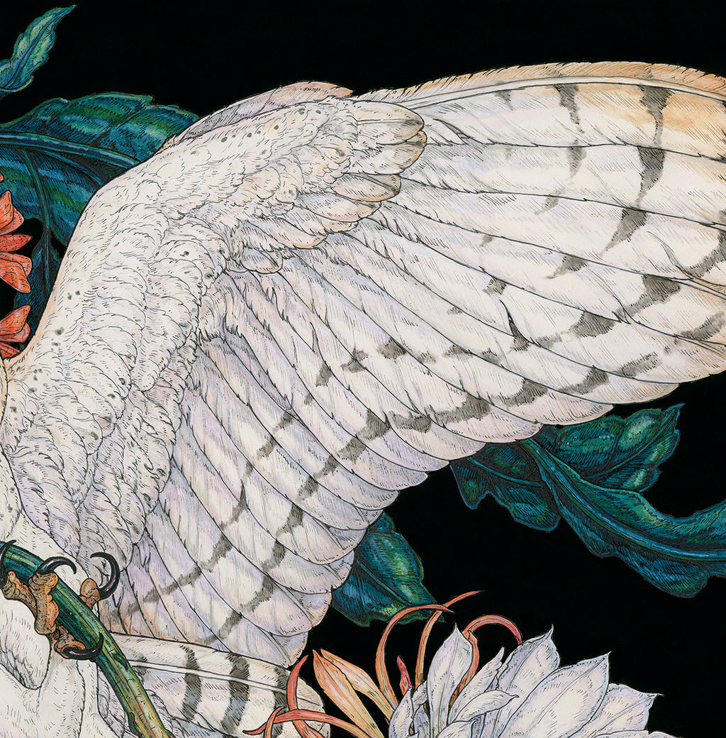 Midnight Sacrifice Limited Edition Print
