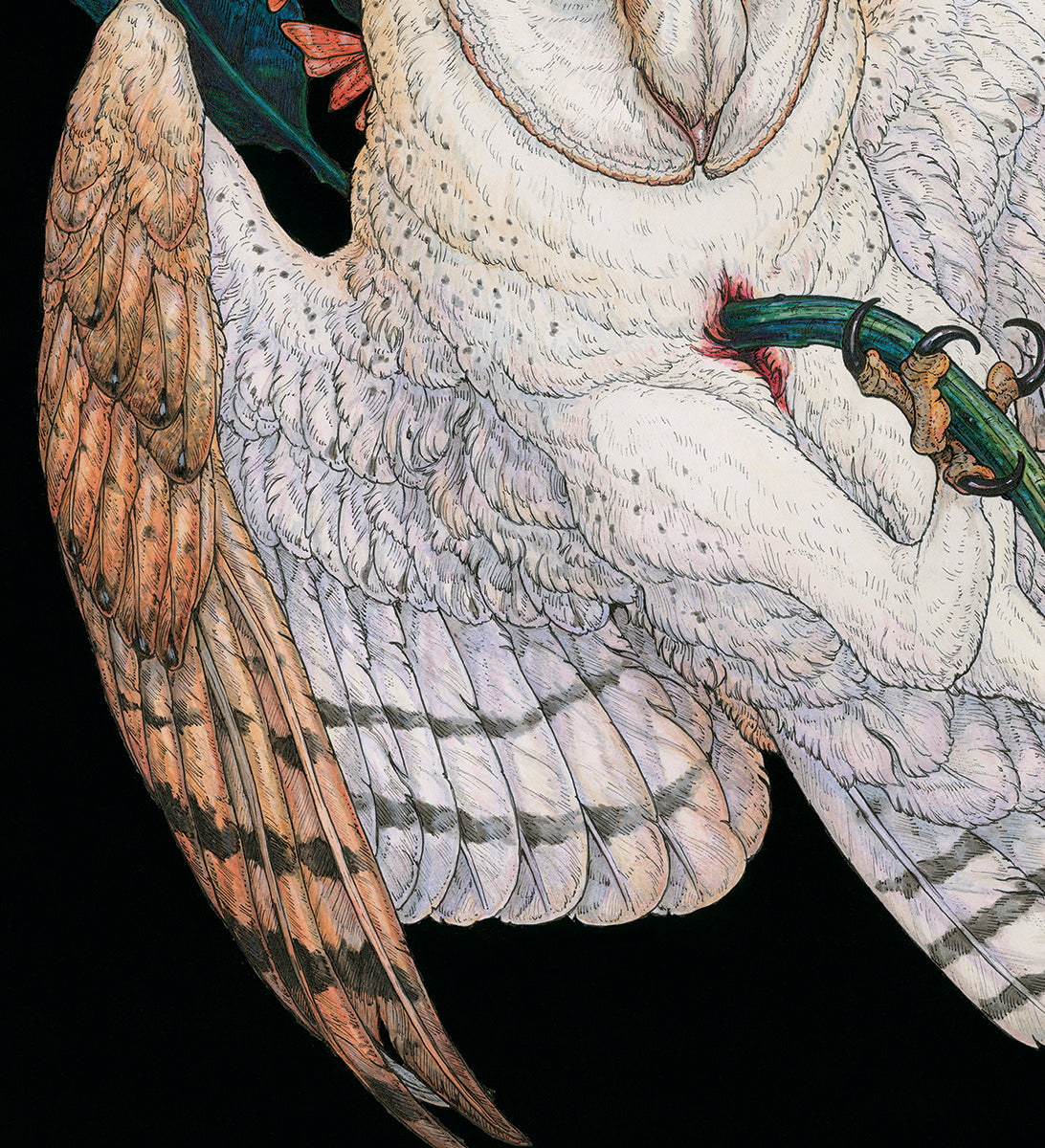 Midnight Sacrifice Limited Edition Print