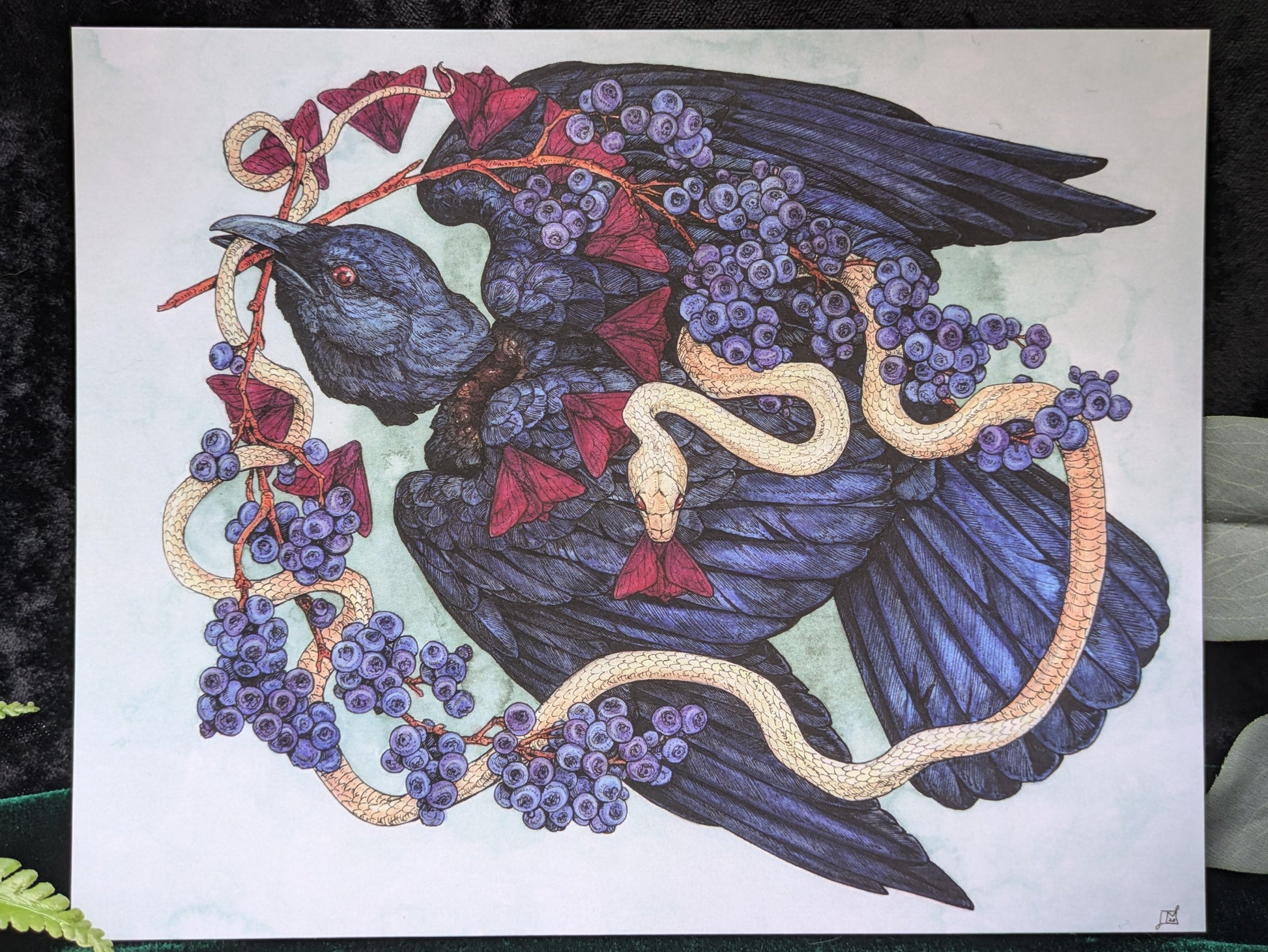 Crow and Blueberries Velvet-Touch Mini Print