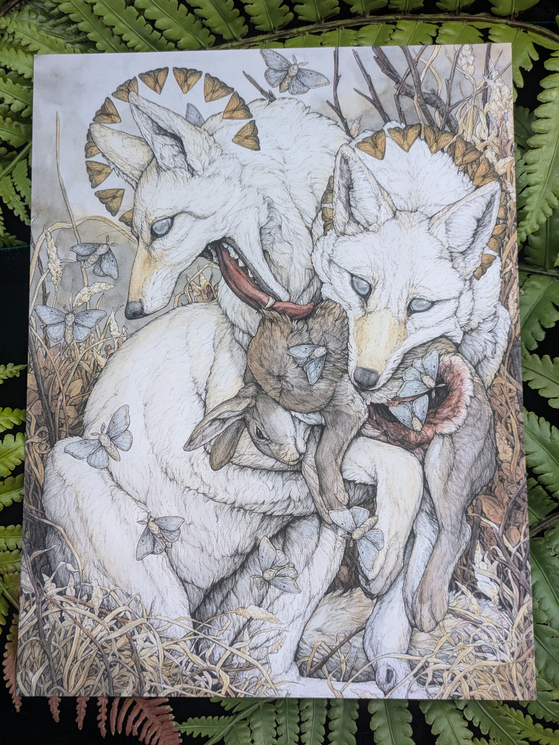 Fortuna Velvet-Touch Mini Print