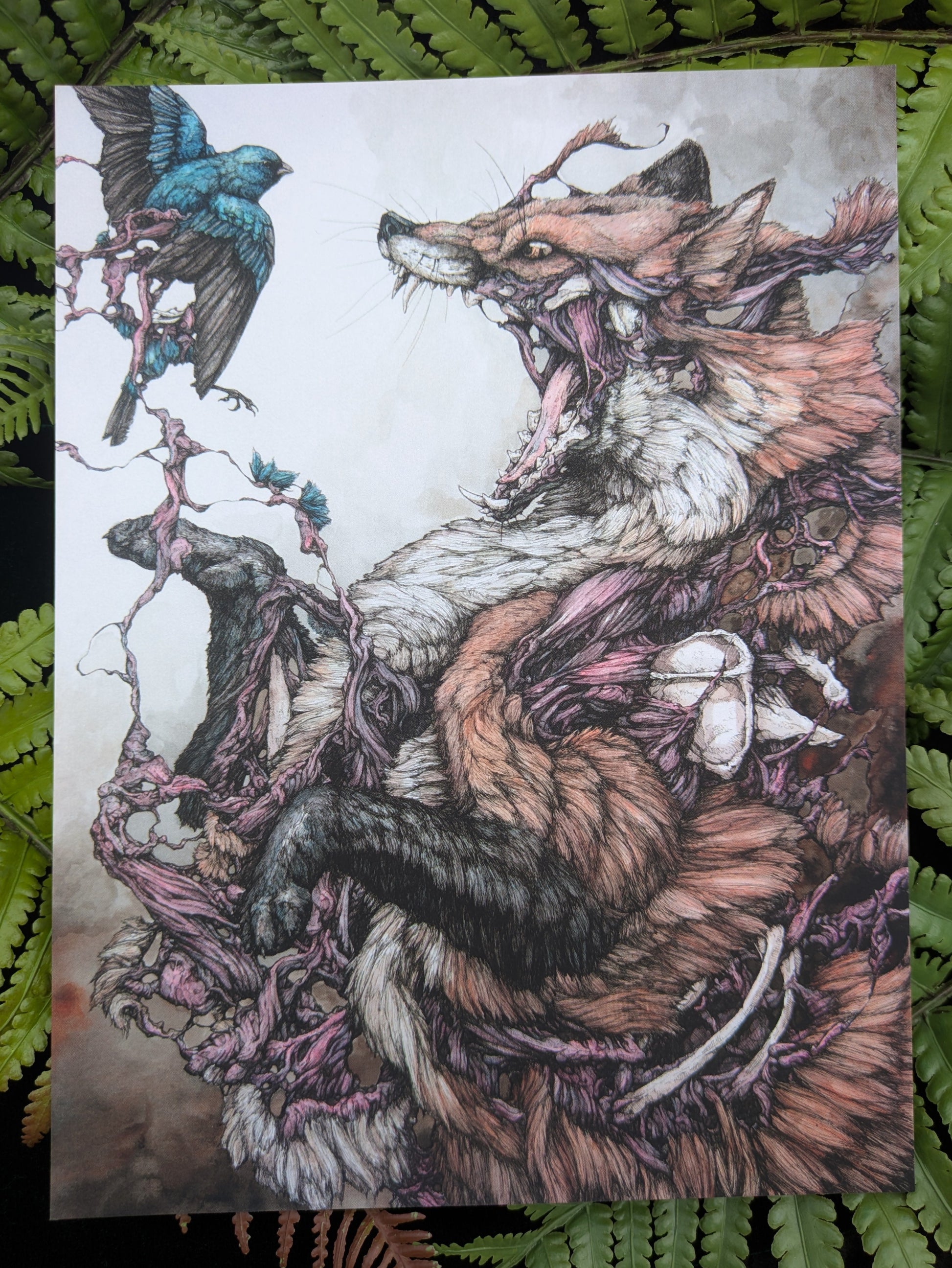 Red Fox and Indigo Bunting Velvet-Touch Mini Print