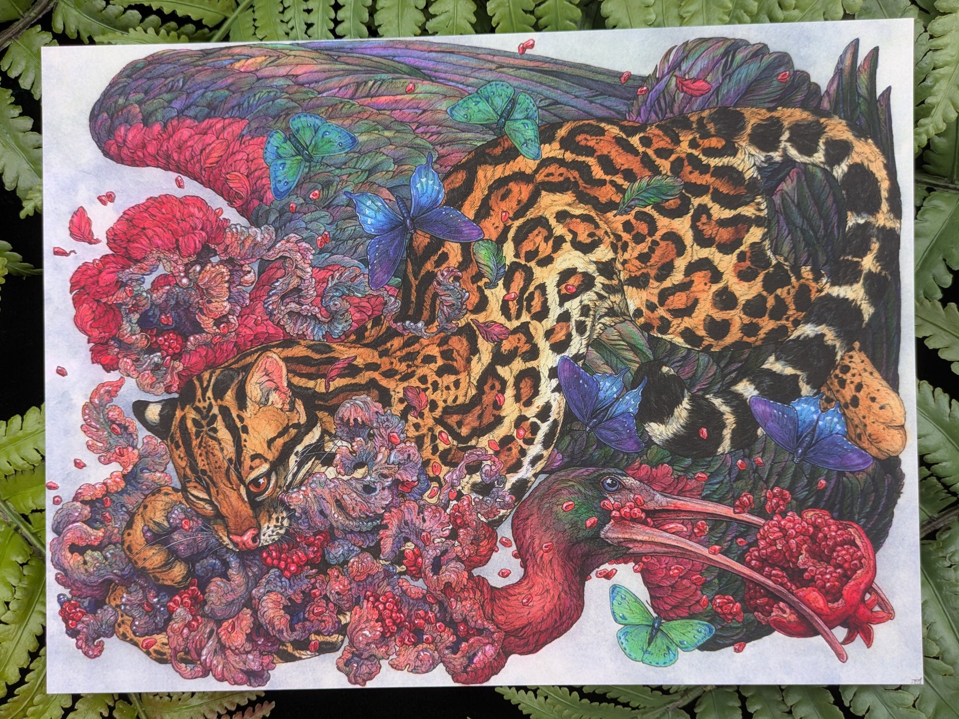 Velvet Touch 3 Print Pack C