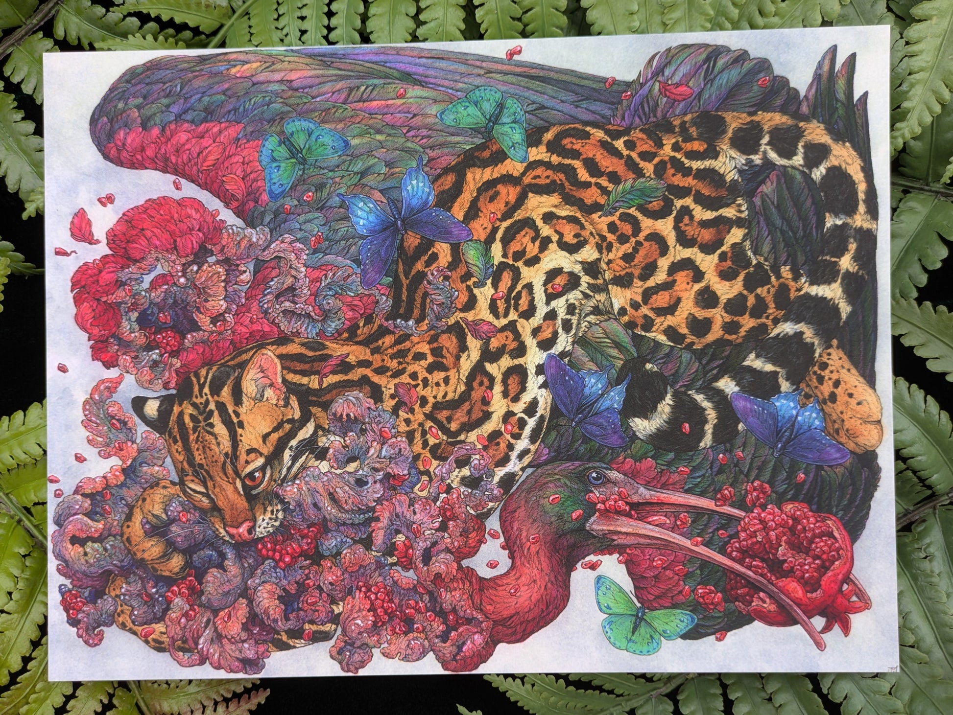 Starry Eyed Velvet-Touch Mini Print