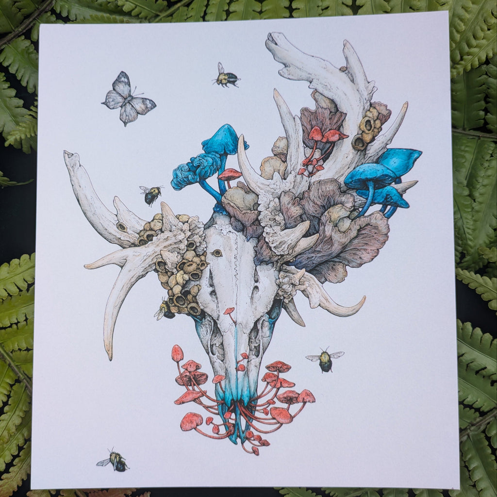 Velvet Touch 3 Print Pack C