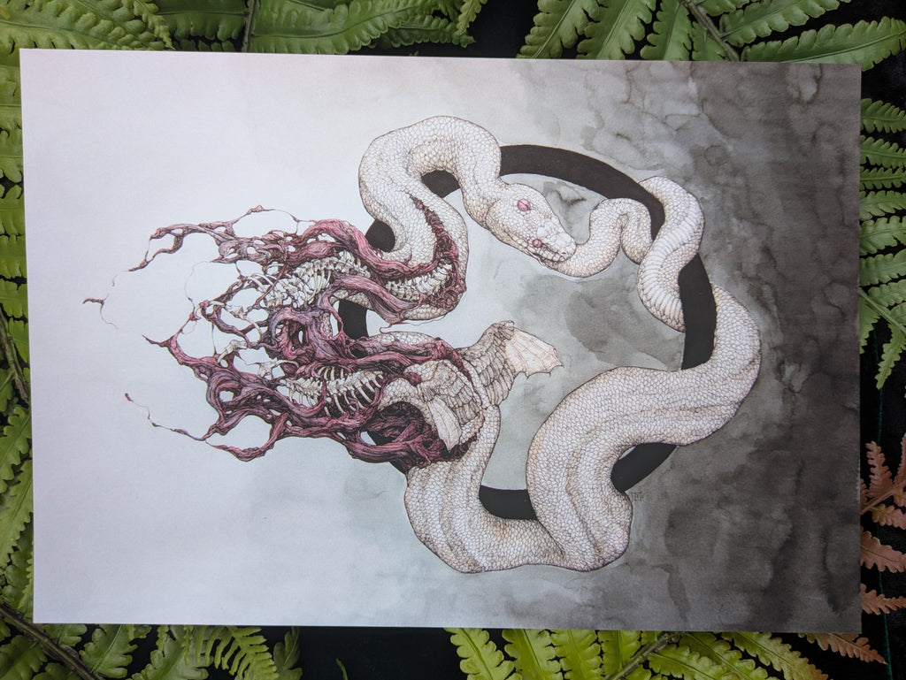 Velvet Touch 3 Print Pack B