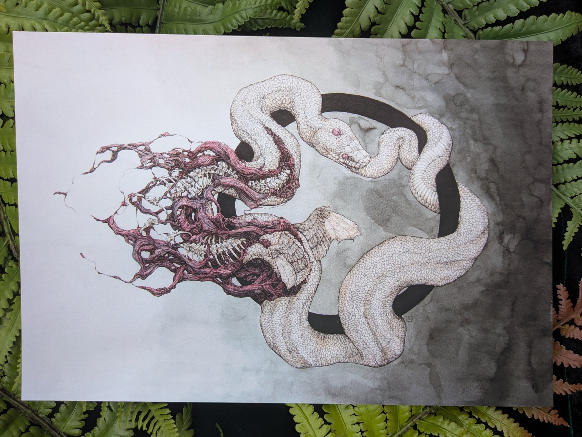 Ouroborous Velvet-Touch Mini Print