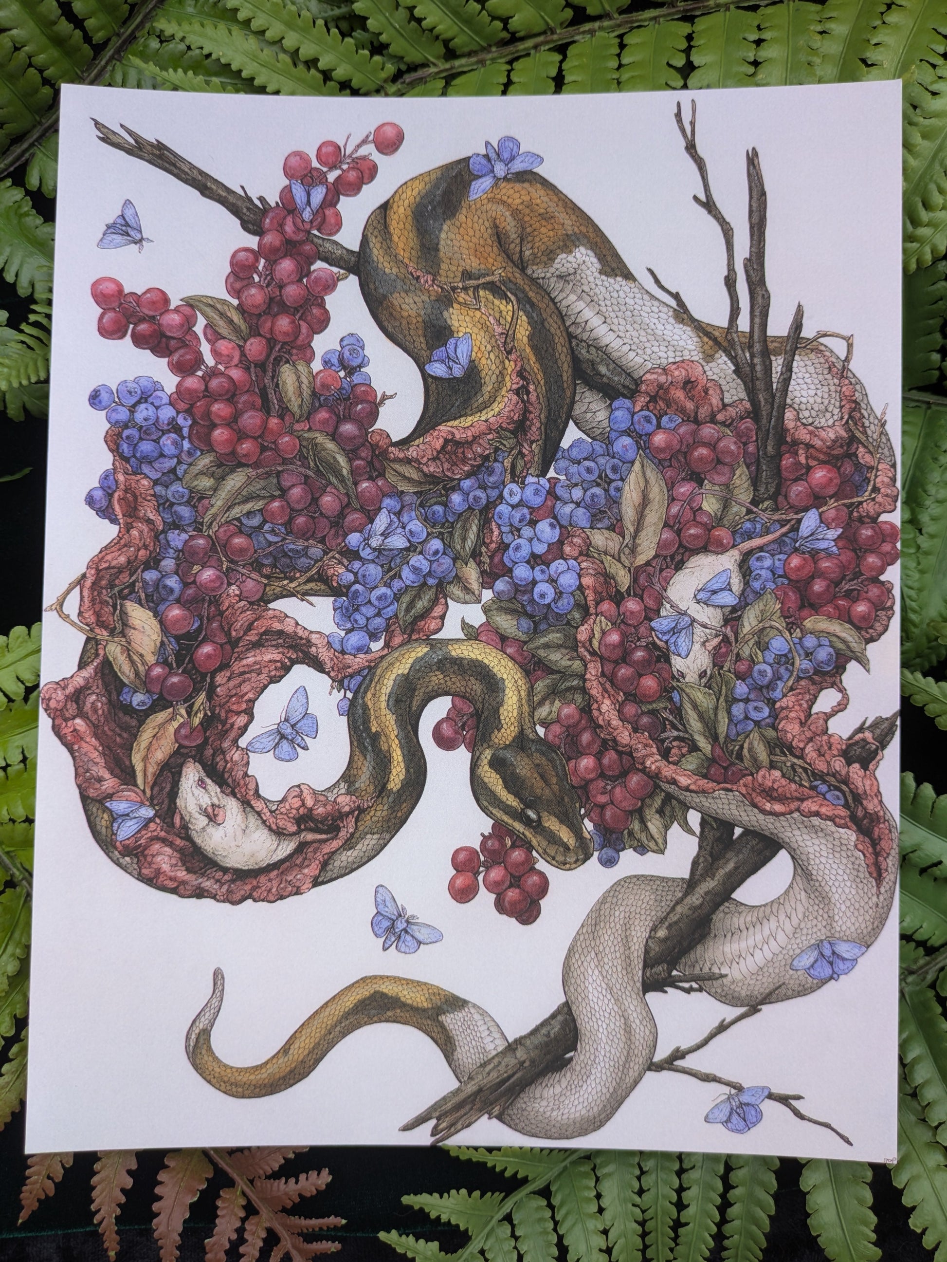 Hypopigmentation Velvet-Touch Mini Print