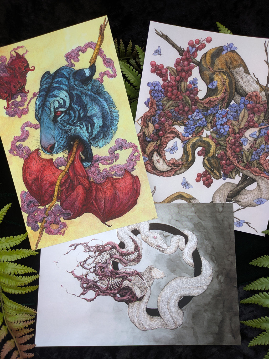 Velvet Touch 3 Print Pack B