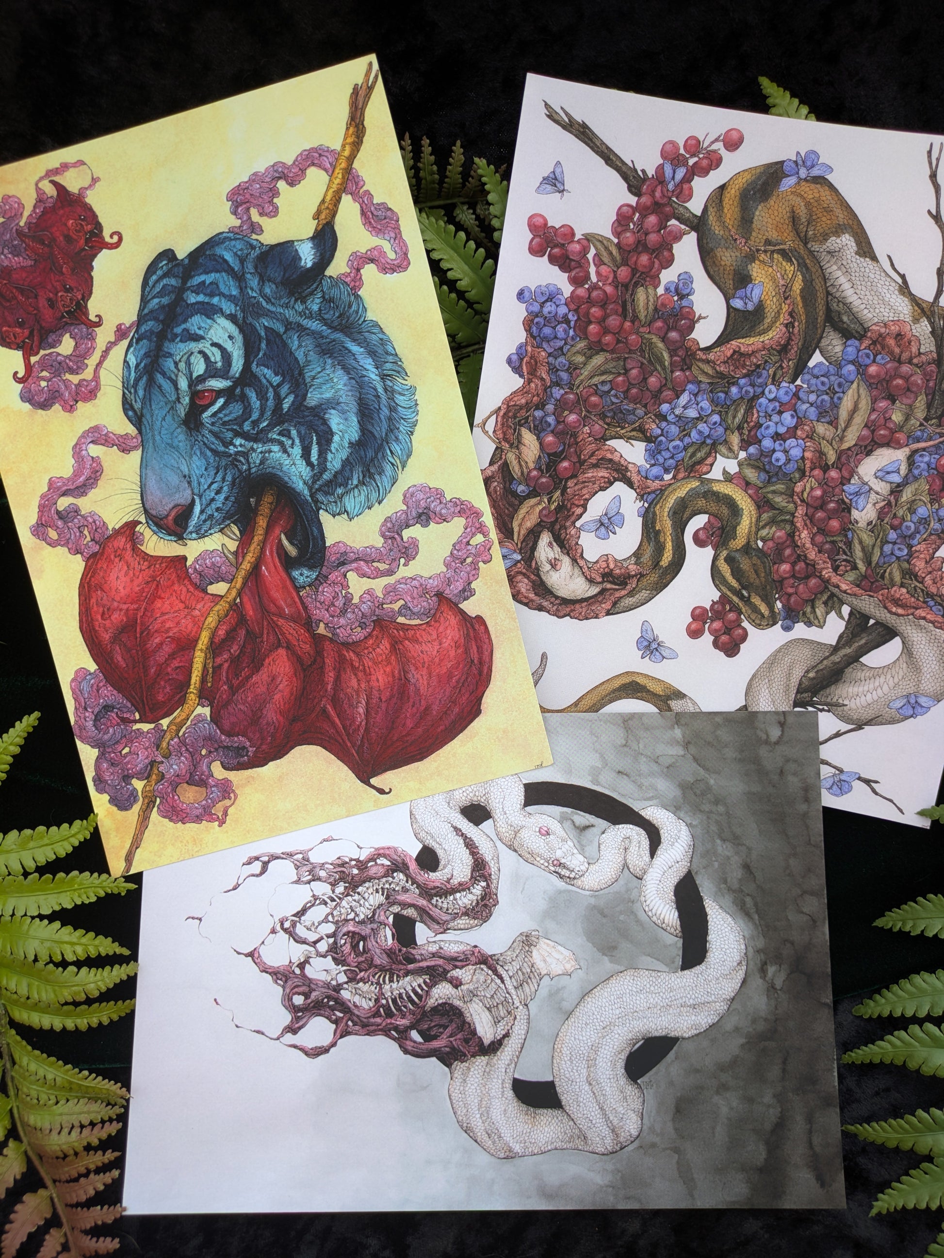 Velvet Touch 3 Print Pack B