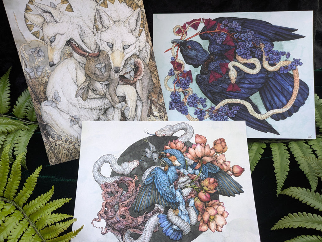 Velvet Touch 3 Print Pack A