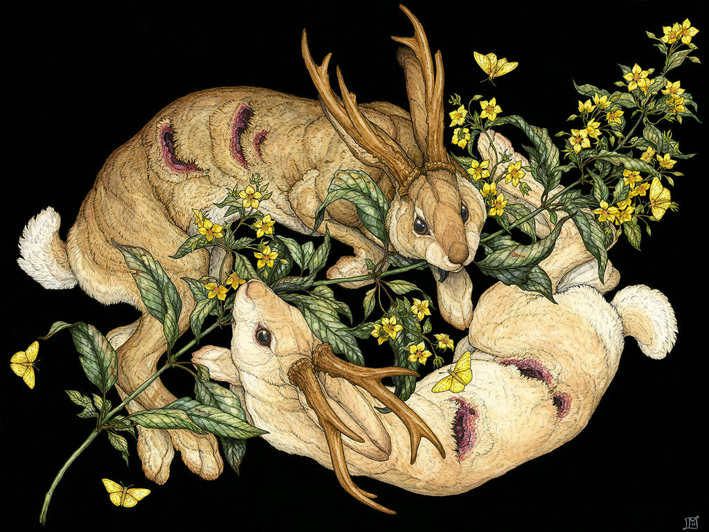 Yellow Loosestrife Limited Edition Print