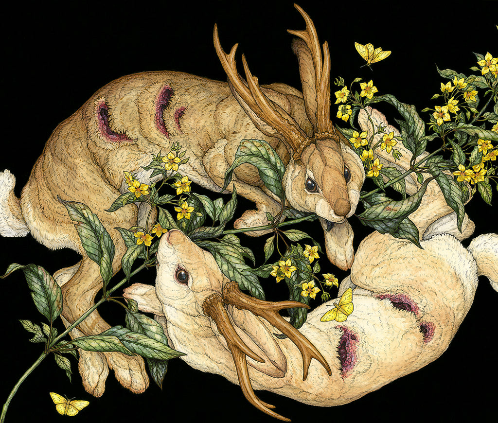 Yellow Loosestrife Limited Edition Print