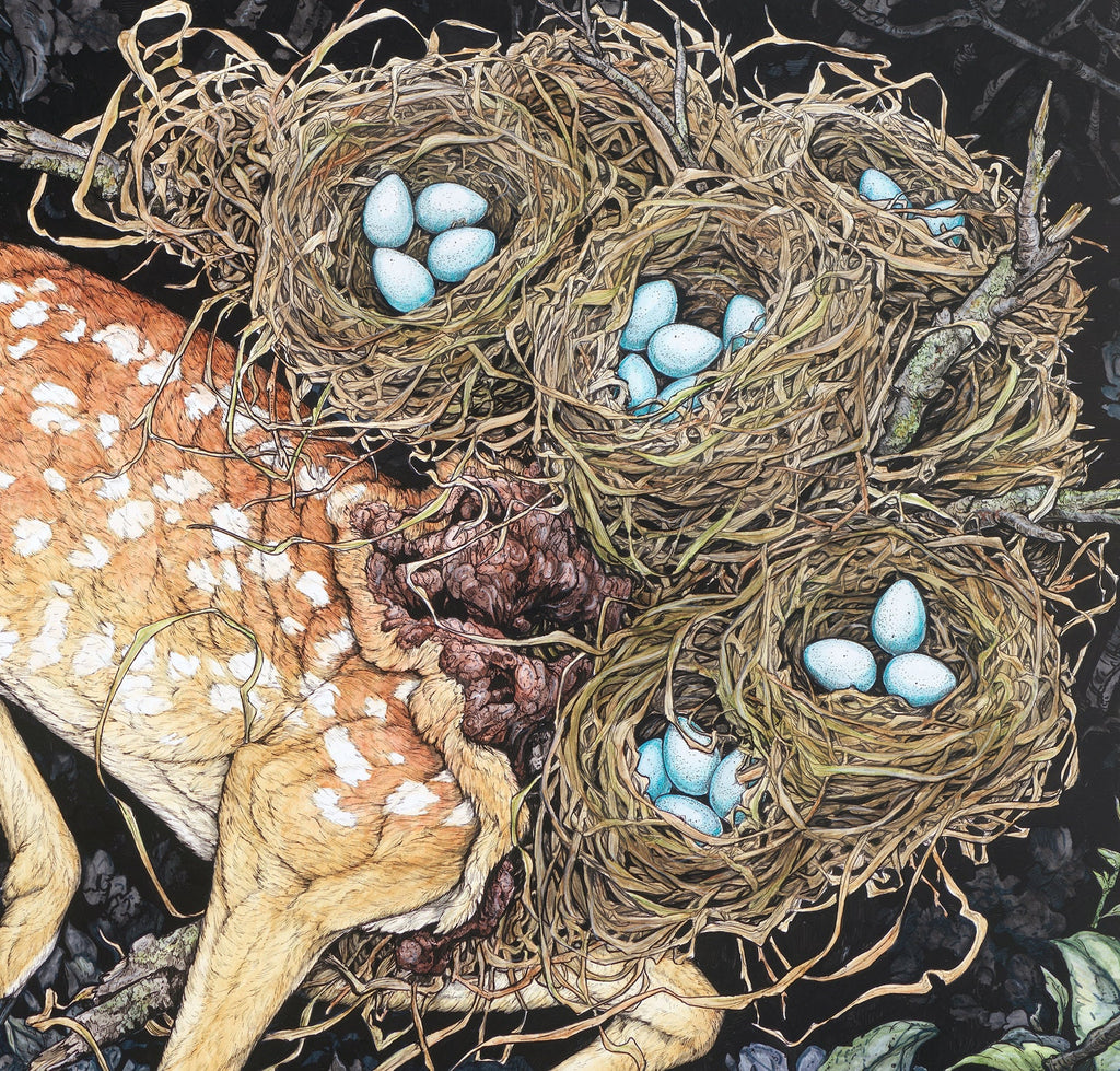 Nested Fawn Limited Edition Print