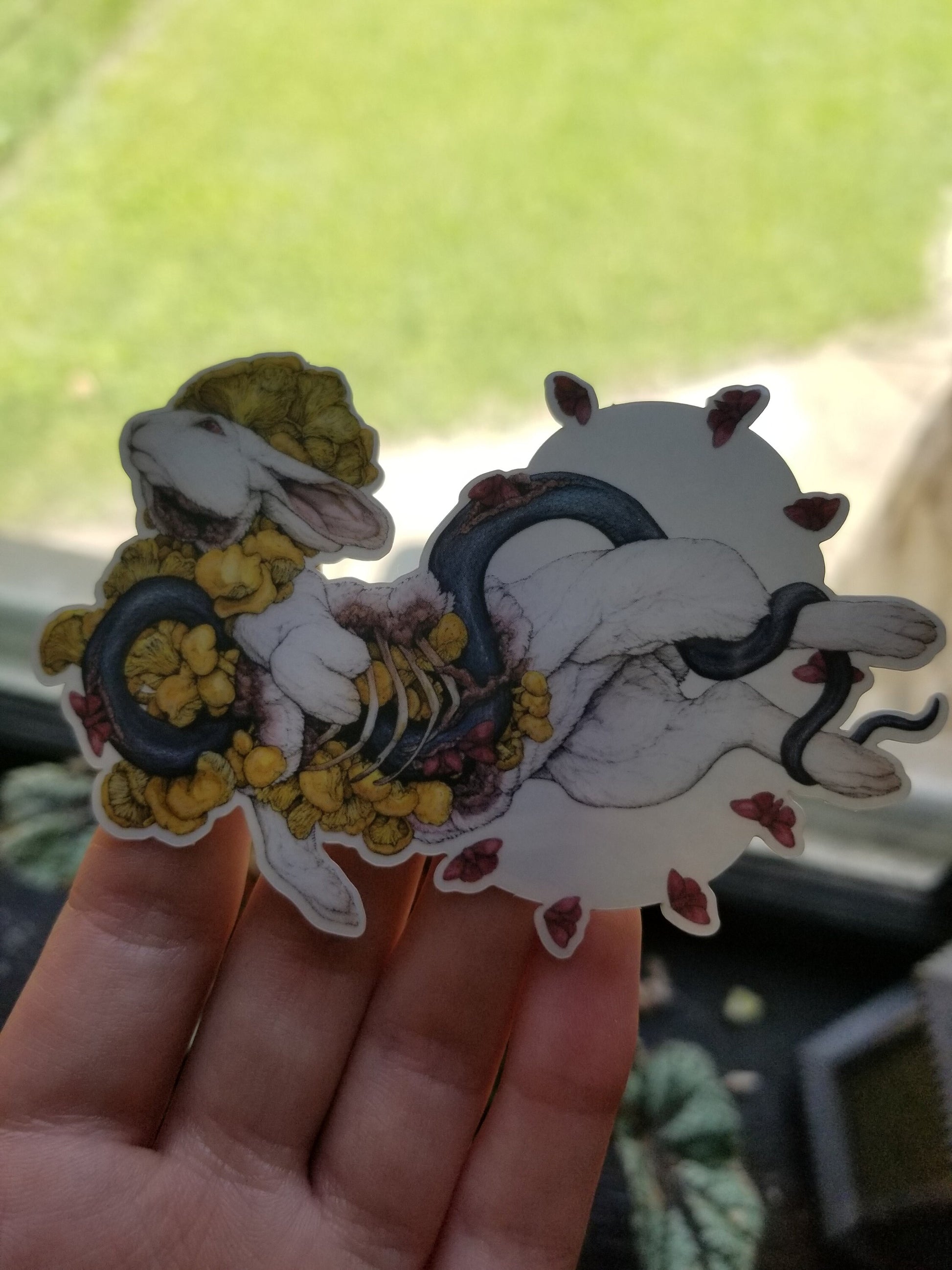 Contemplation of Lepus Sticker