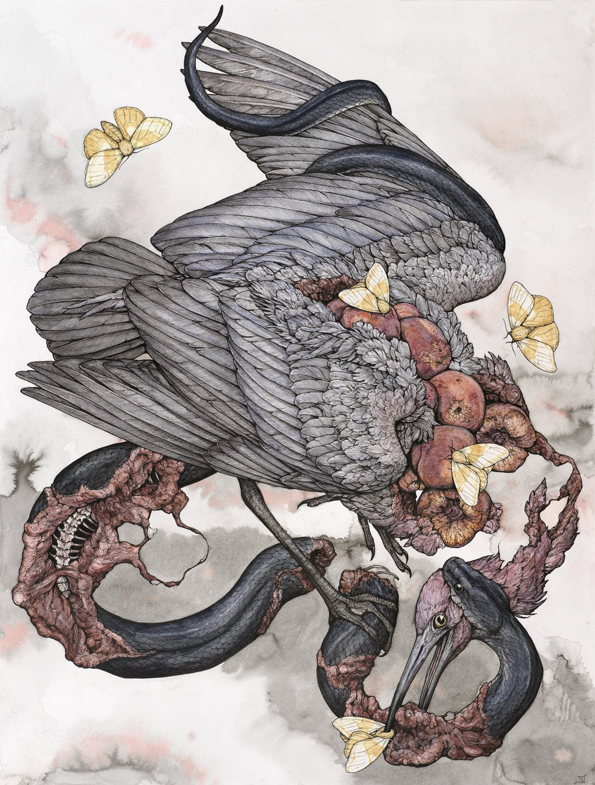 Peach Limited Edition Print