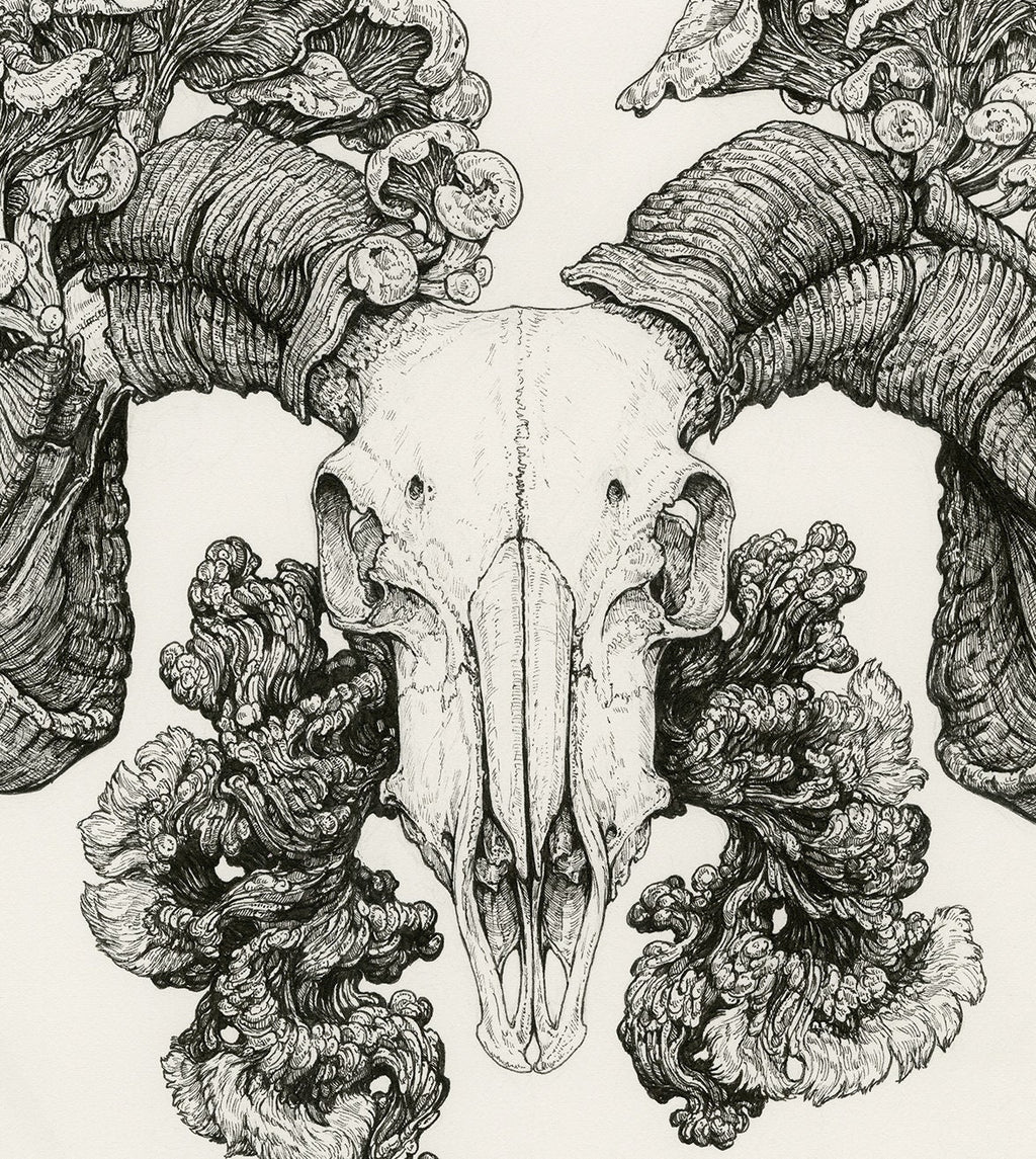 Epitaph Limited Edition Print