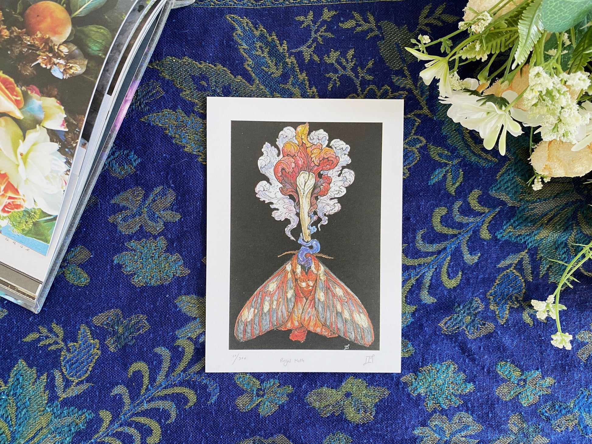 Regal Moth Limited Edition Print