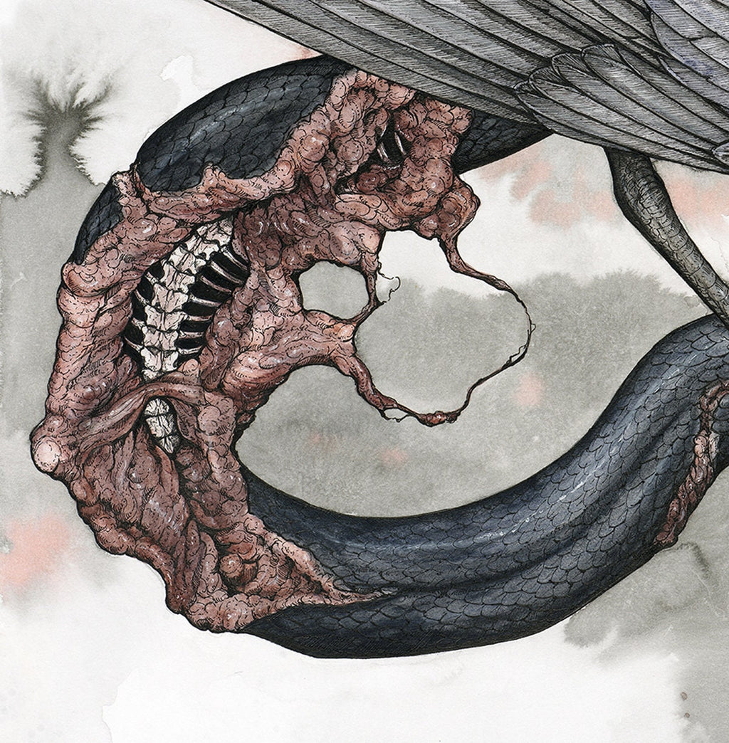 Peach Limited Edition Print