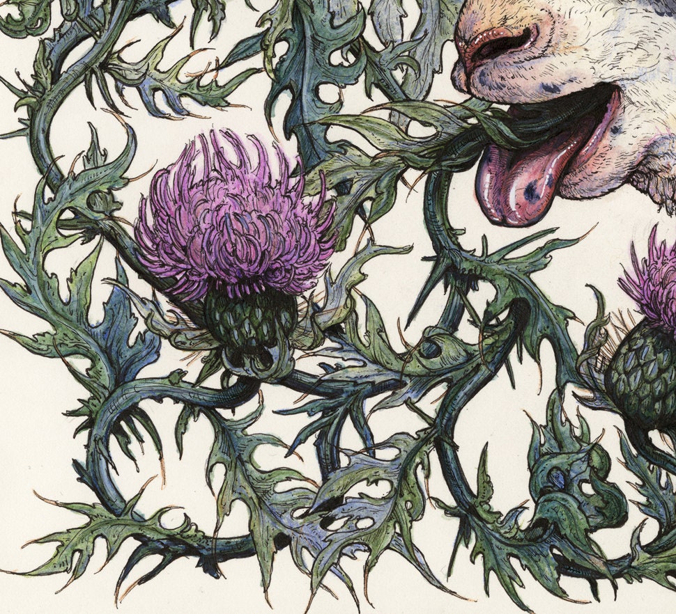 Bleat Limited Edition Print