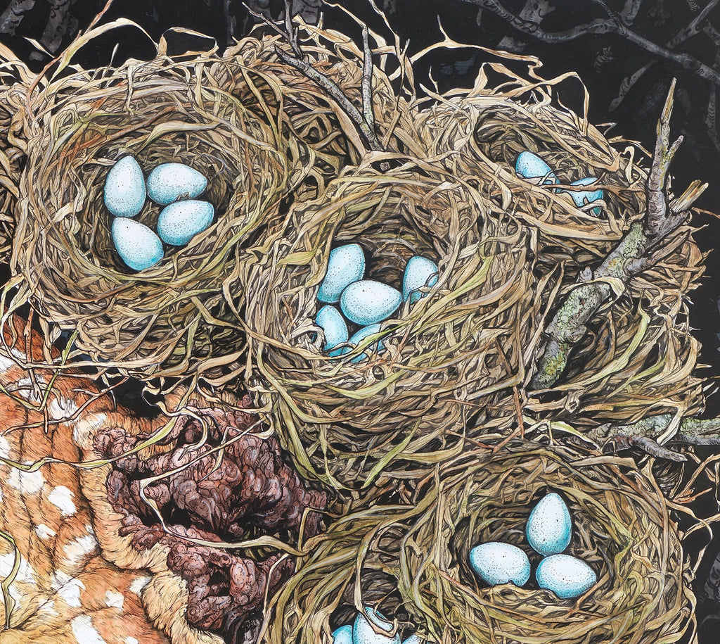 Nested Fawn Limited Edition Print