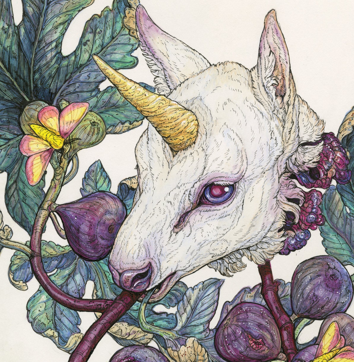 Baby Unicorn Sweets Limited Edition Print