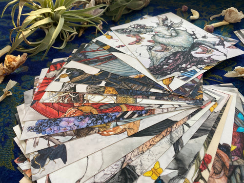 25 Piece Postcard Set: Version 2