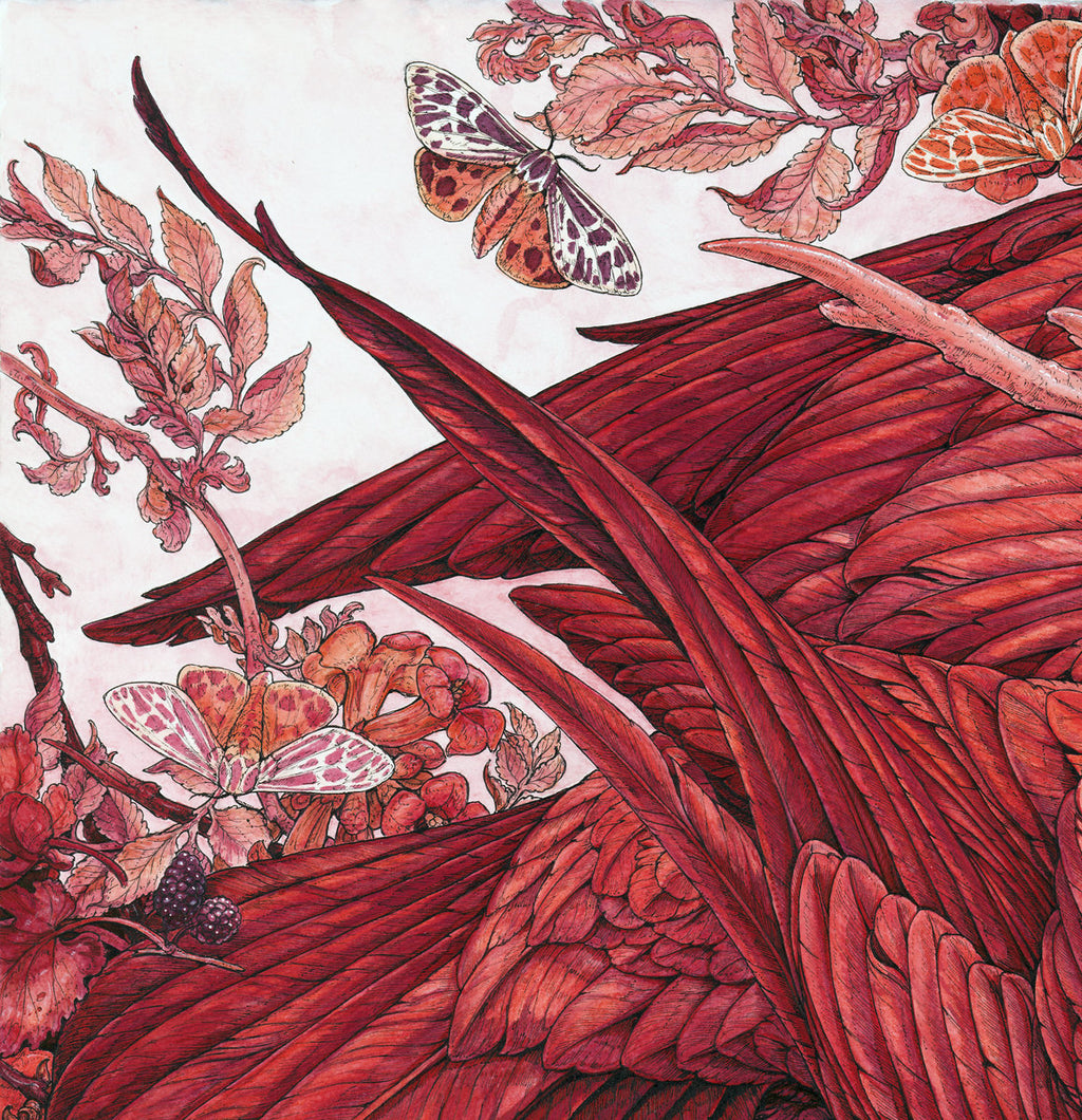 Red Limited Edition Print
