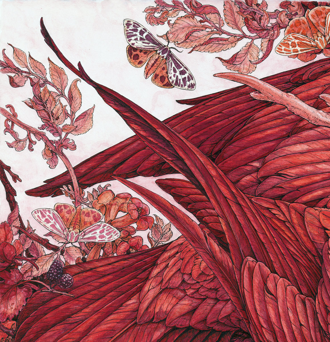 Red Limited Edition Print