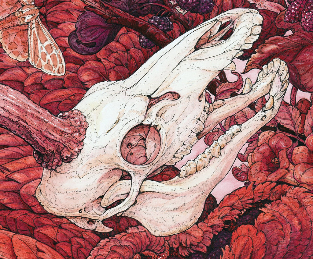 Red Limited Edition Print