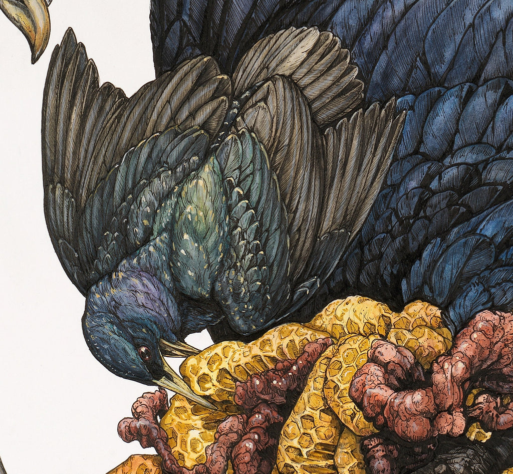 Honey Limited Edition Print
