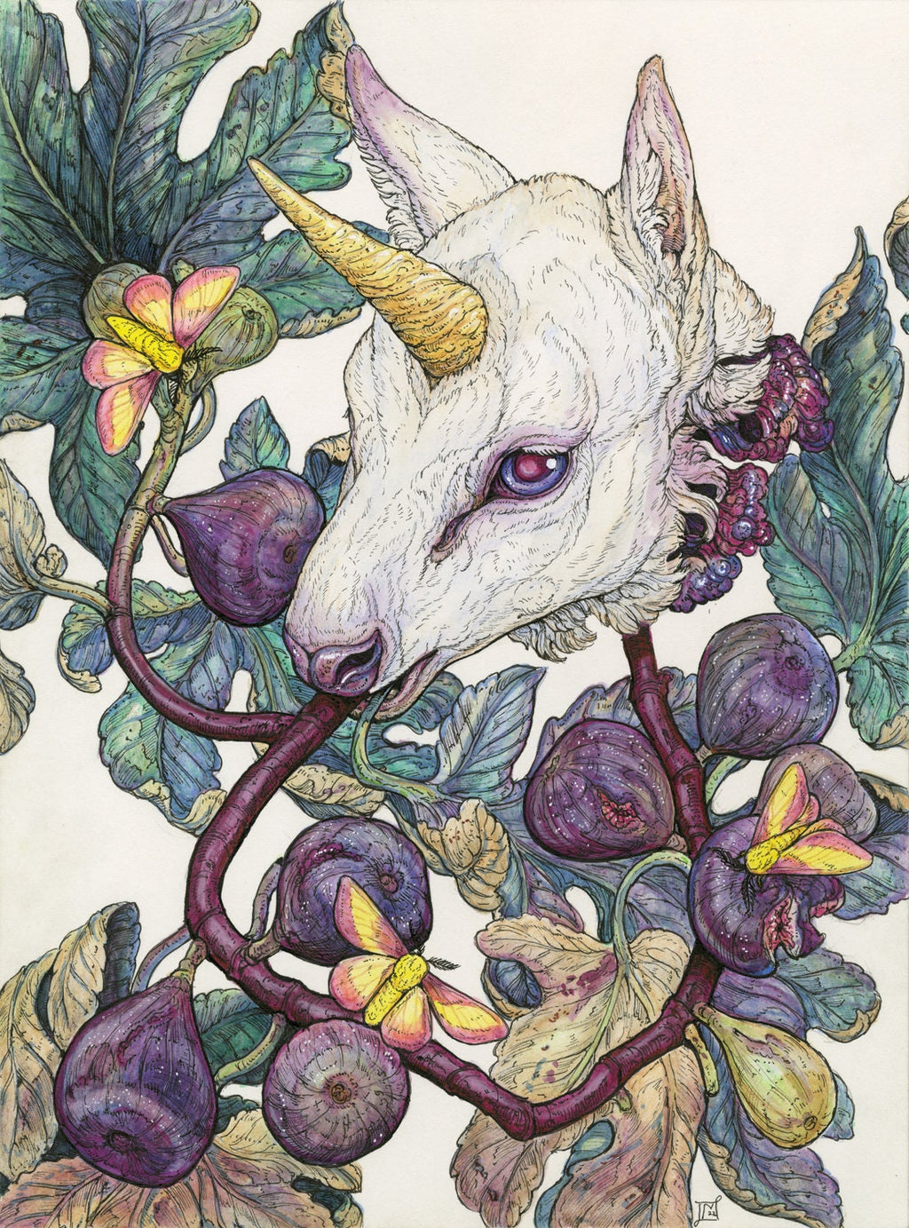 Baby Unicorn Sweets Limited Edition Print